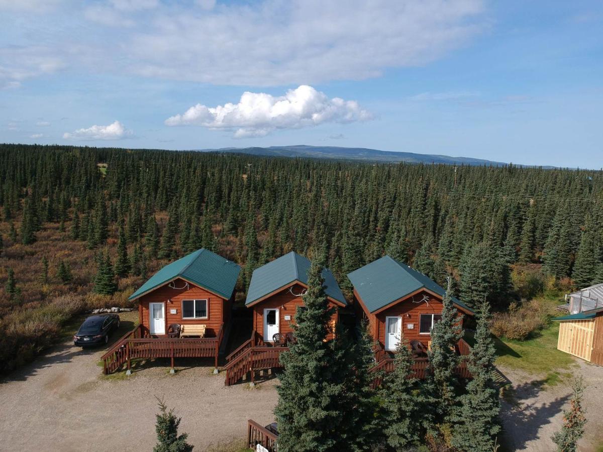 Alaskan Spruce Cabins Healy Exterior foto