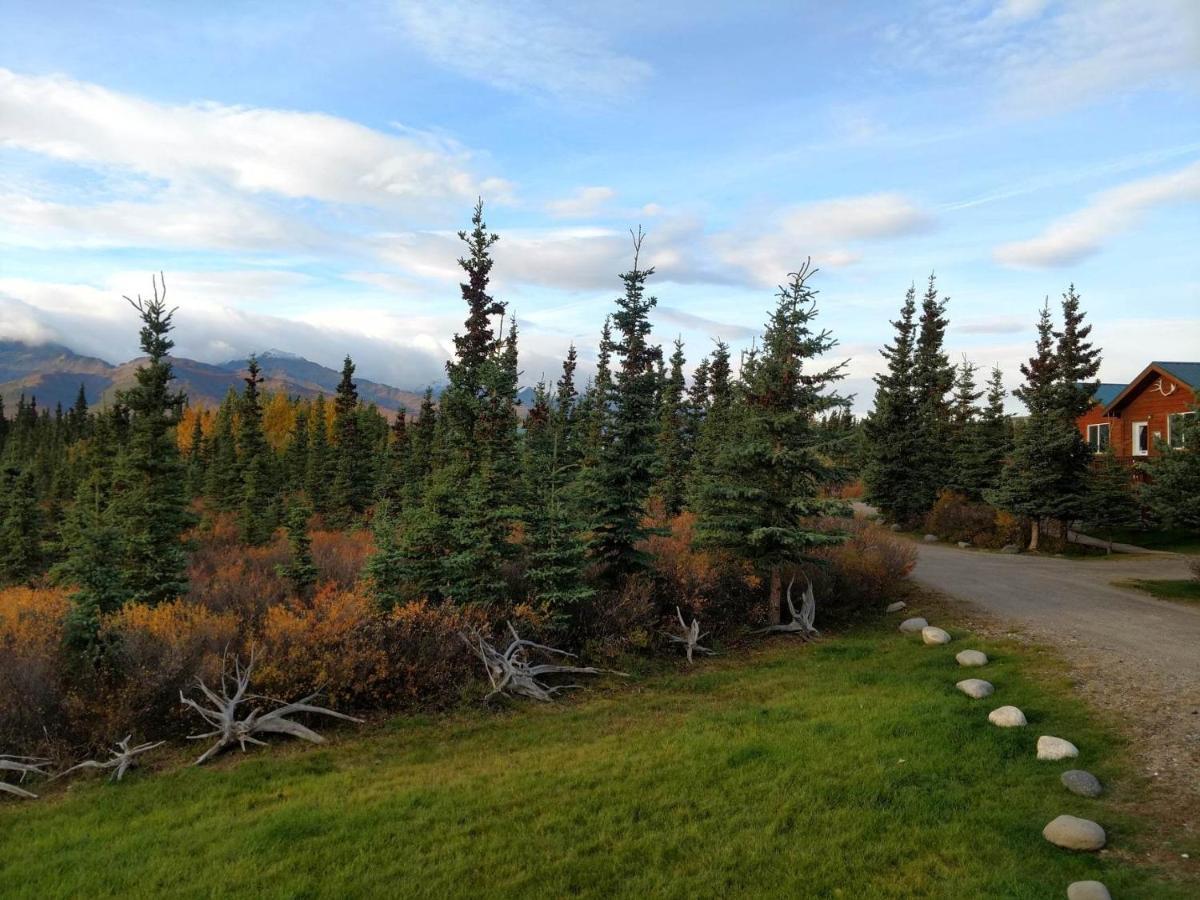 Alaskan Spruce Cabins Healy Exterior foto