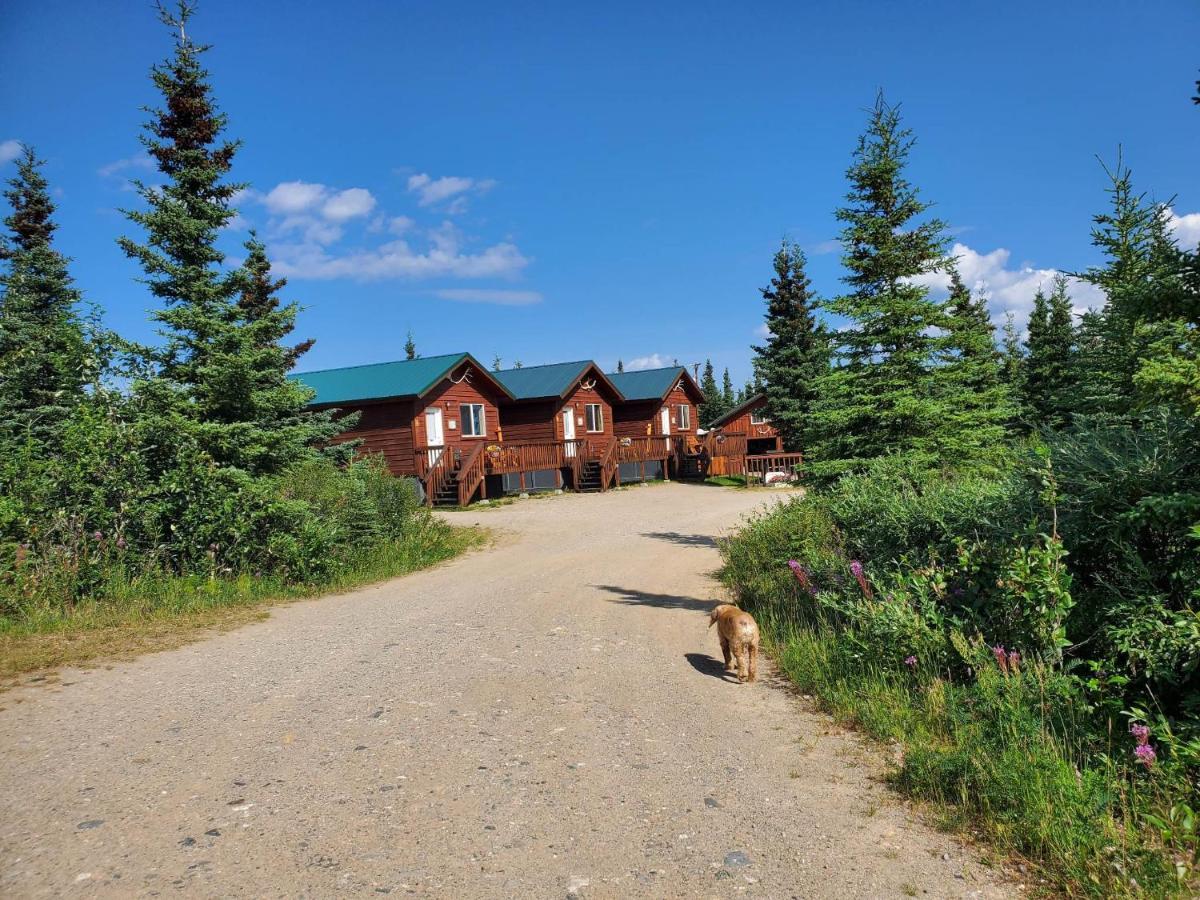 Alaskan Spruce Cabins Healy Exterior foto