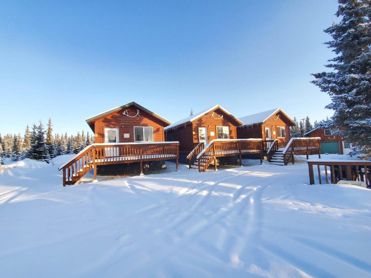 Alaskan Spruce Cabins Healy Exterior foto