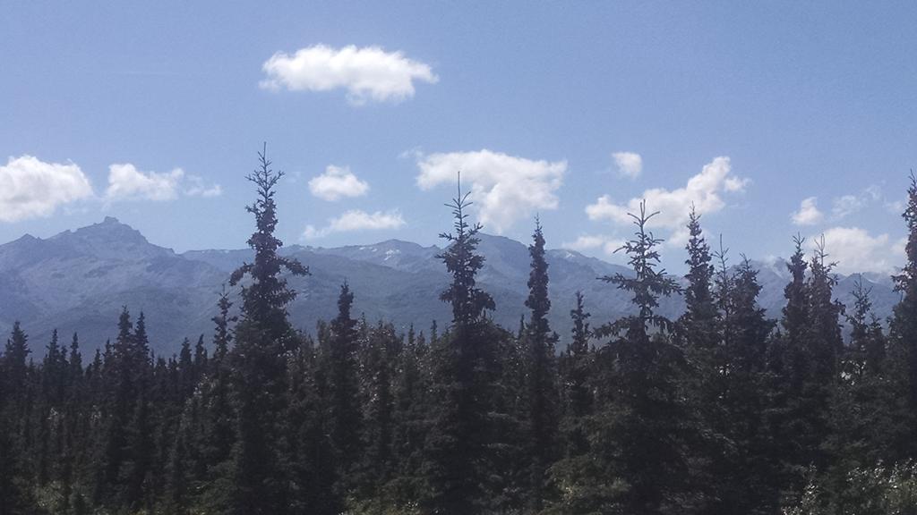 Alaskan Spruce Cabins Healy Exterior foto