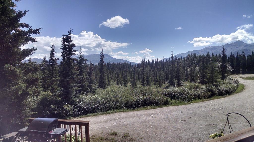 Denali'S Alaskan Spruce Cabins Healy Exterior foto