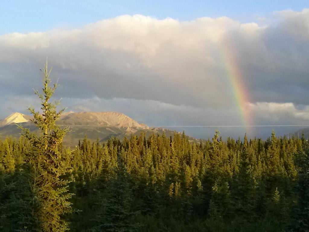 Alaskan Spruce Cabins Healy Exterior foto