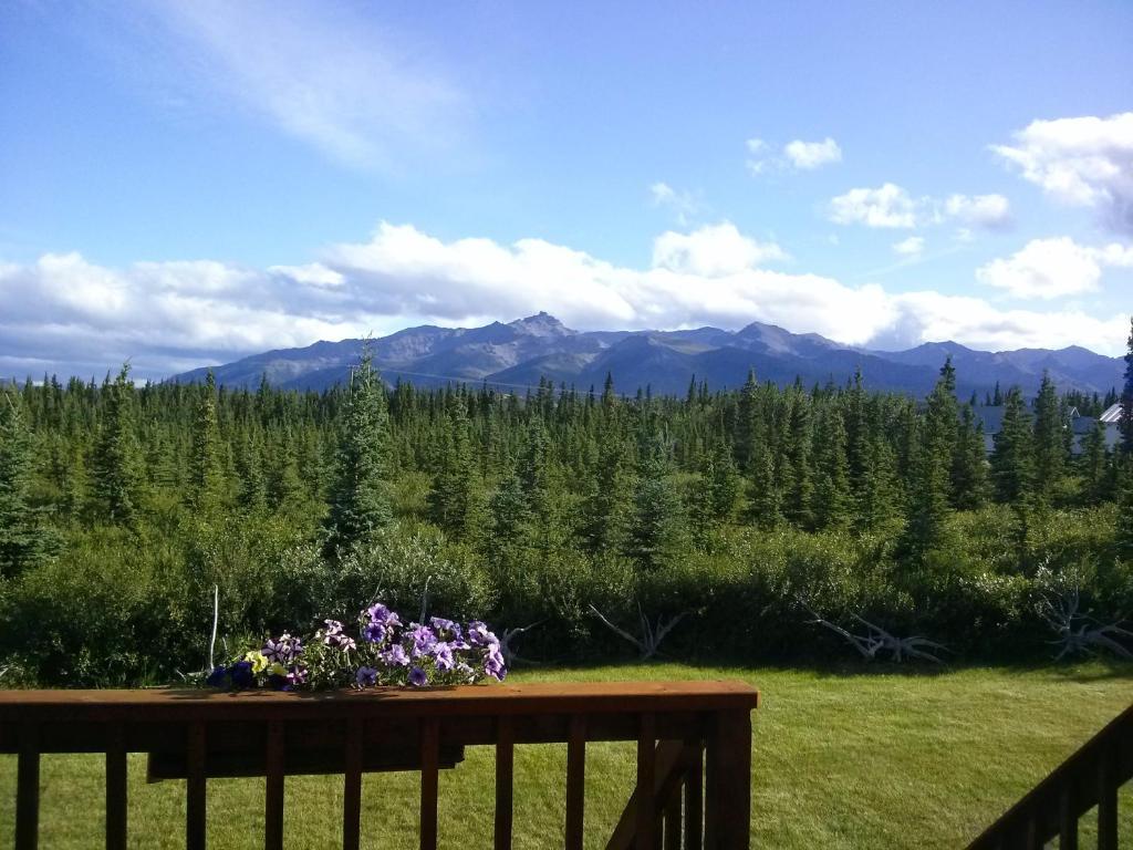 Alaskan Spruce Cabins Healy Exterior foto